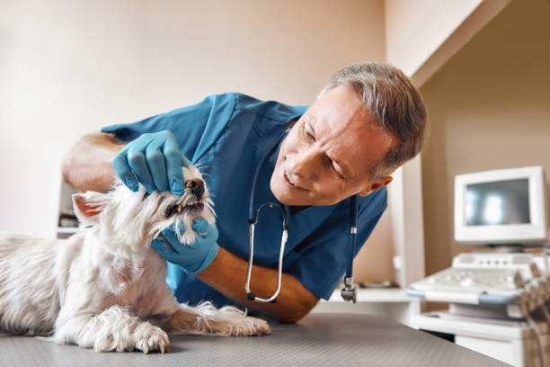  Keansburg, NJ Emergency Dentist Pros